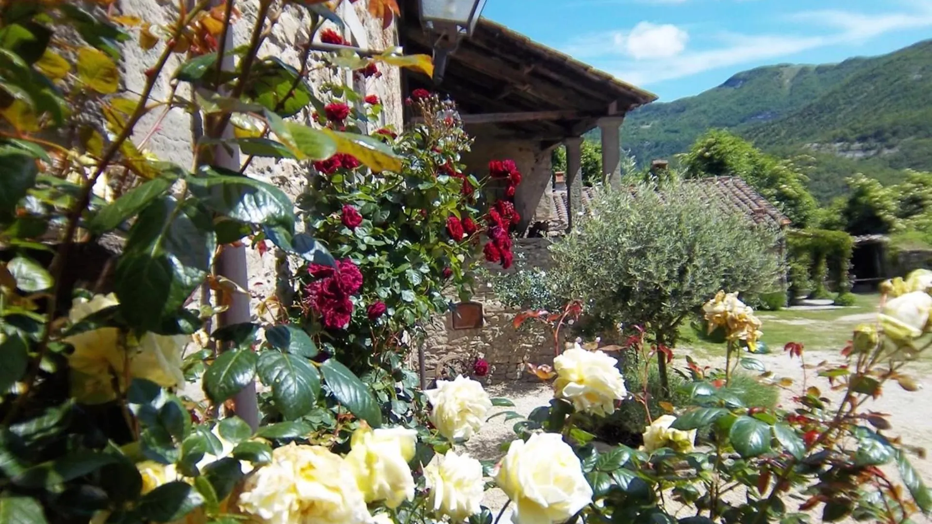 Holiday home Comfy Home In San Godenzo With Lake Nearby